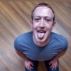 Meet your Posher, Bluebonnet